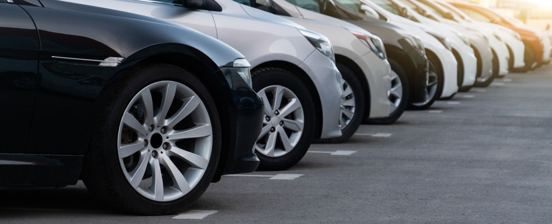 画像：サンプル