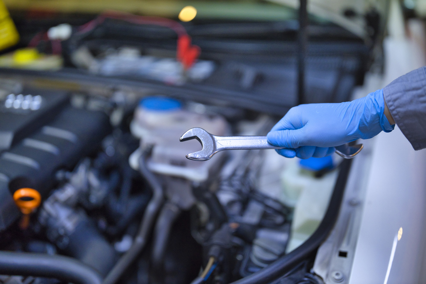 画像：サンプル